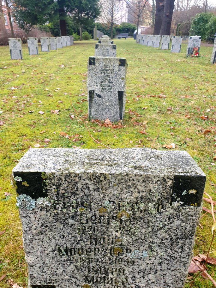 Cemetery Ilmenau 33
