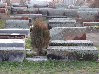 Cemetery in Echmiatsin 1