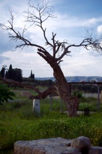 Cemetery in the Yezidi town of Baadre near Sheikhan in Duhok Governorate 03