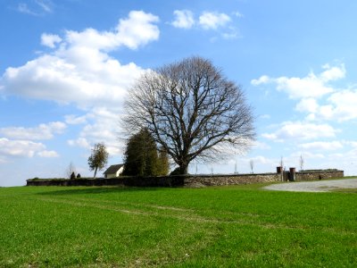 Cemetery in Hohndorf, Greiz 1