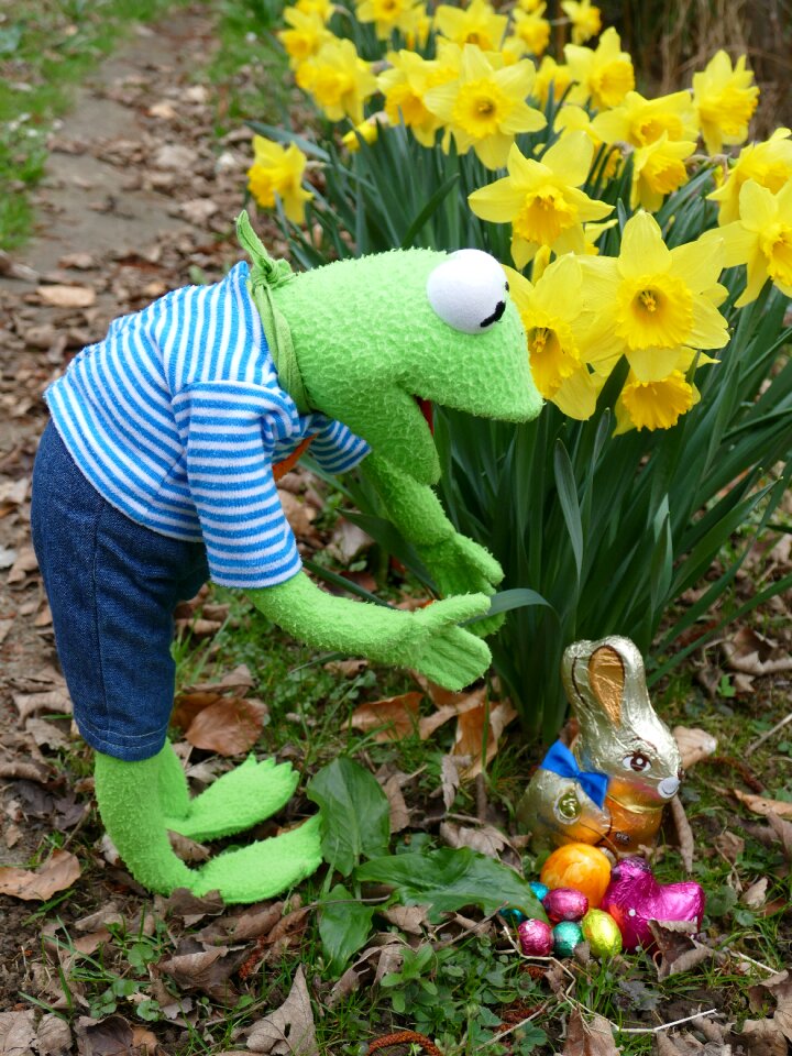 Easter nest to find spring