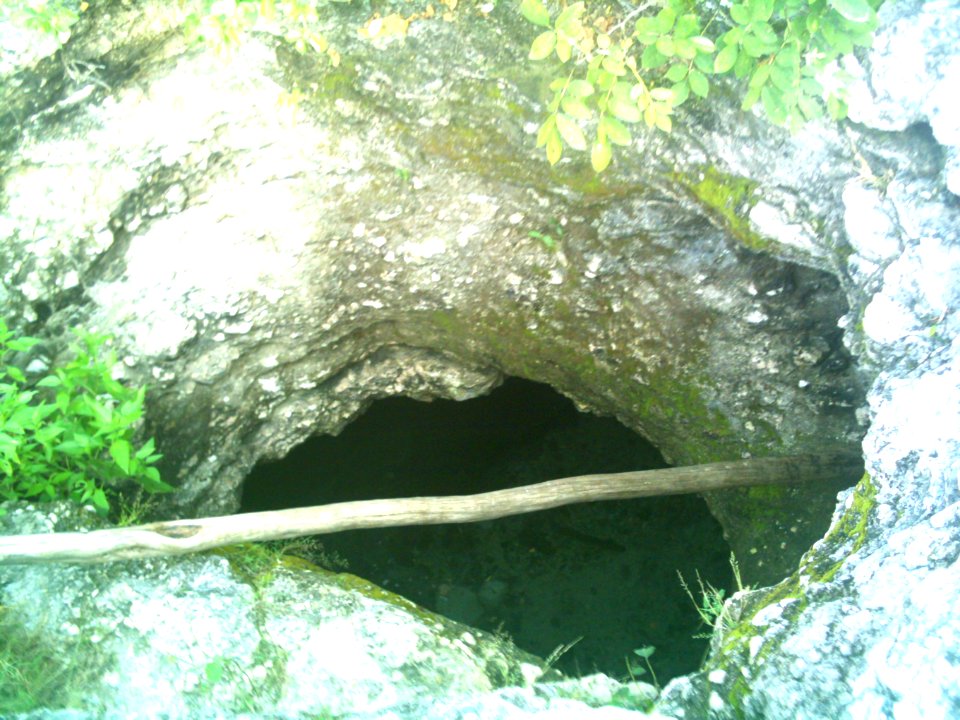 Cenote de Sierra Papacal, Yucatán (01)