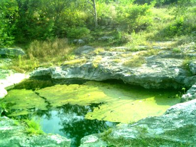 Cenote Chen Ha (09) photo