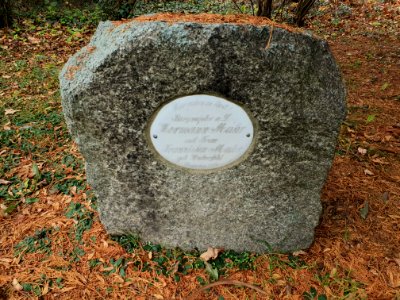Cemetery Ilmenau 30