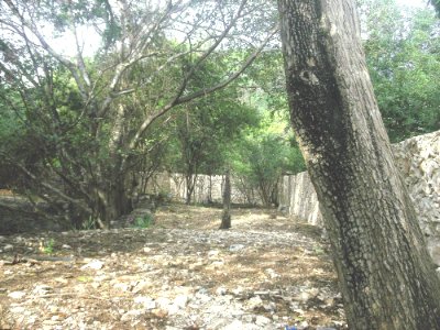Cenote Chapultepec, Mérida, Yucatán (02)