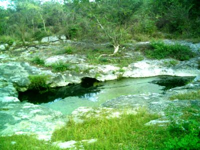 Cenote Chen Ha (01)