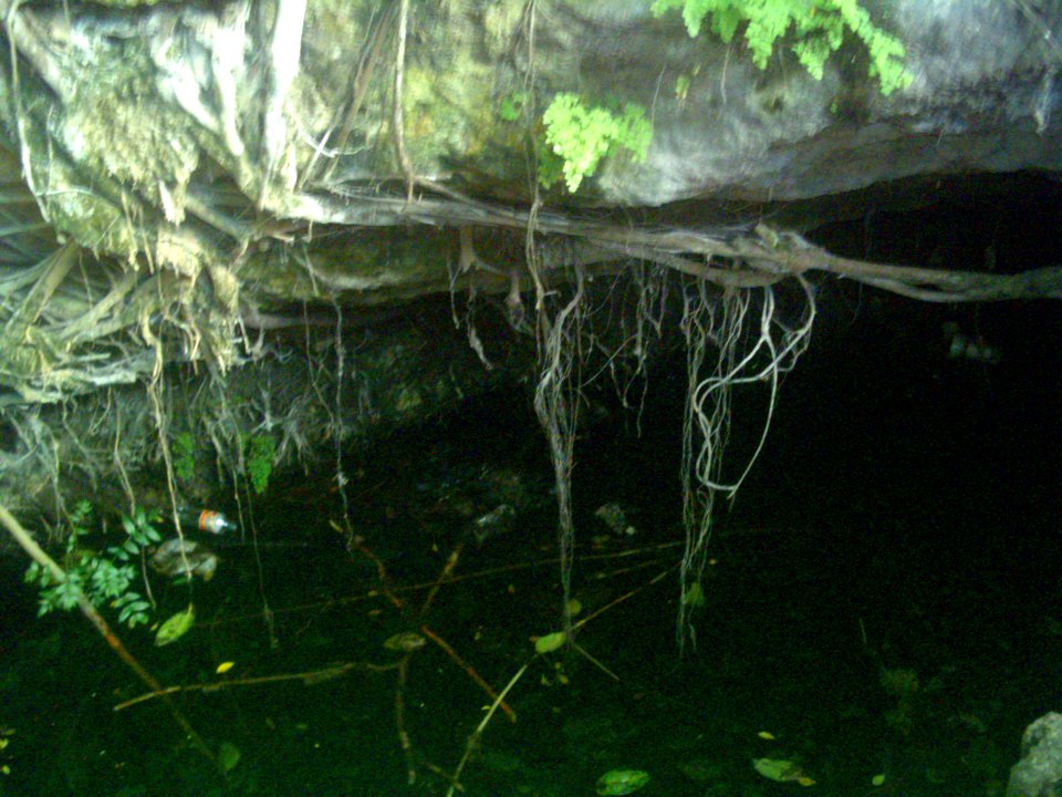 Cenote del Parque de Cholul, Yucatán (08)