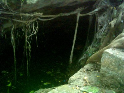 Cenote del Parque de Cholul, Yucatán (07) photo