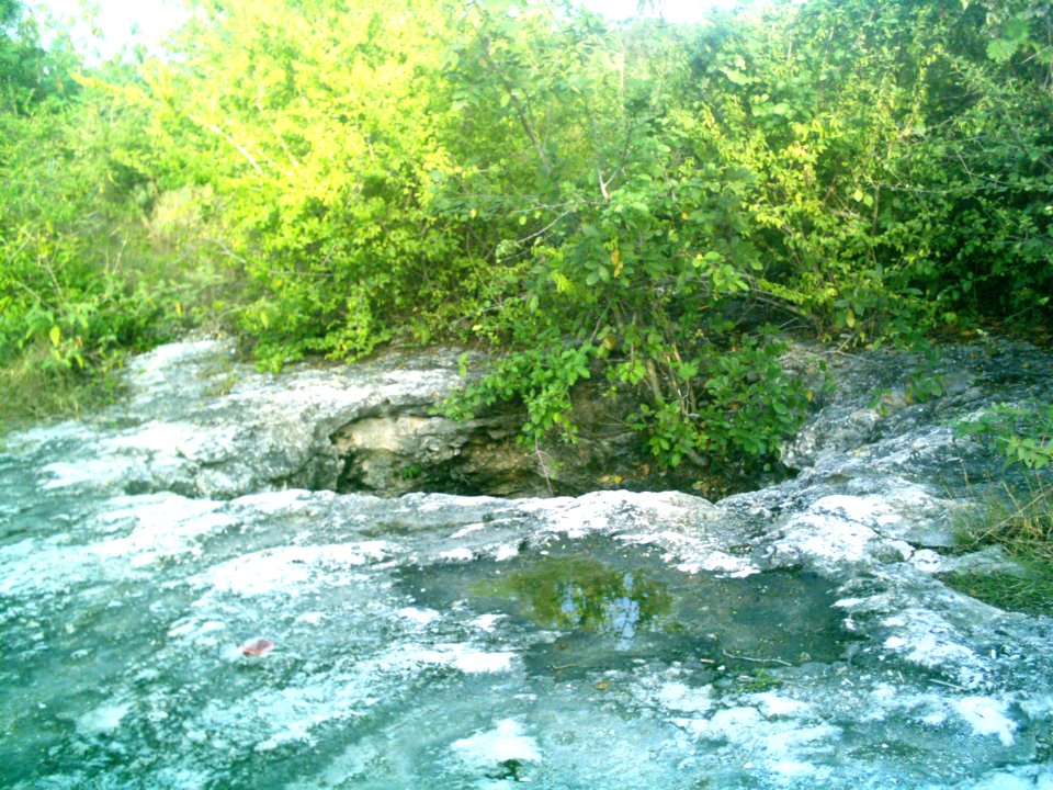 Cenote de Sierra Papacal, Yucatán (05)