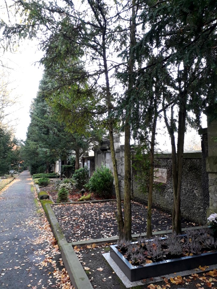 Cemetery Apolda 2