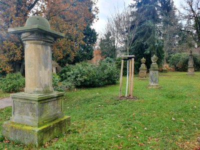 Cemetery Ilmenau 25