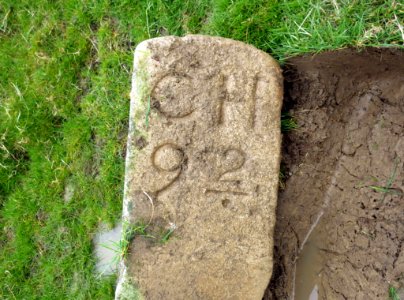 CH9-2 Boundary Stone, Hooe Level