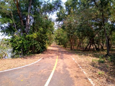 Cha-am Forest Park 1