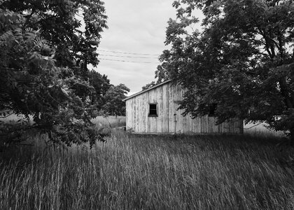 Spooky decay vintage