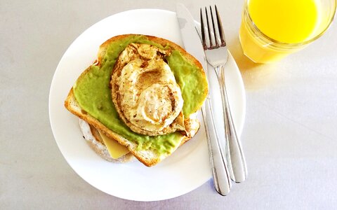 Avocado bread toast photo