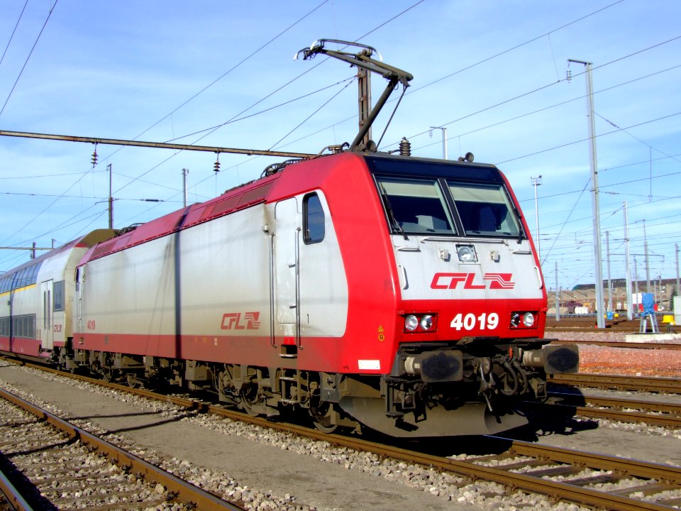 CFL 4019