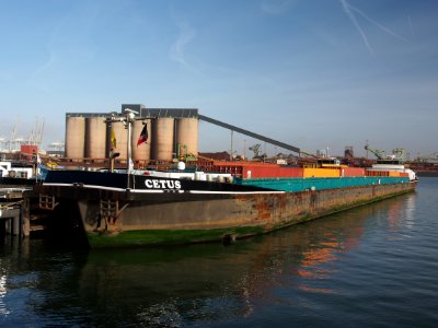 Cetus (ship,1993) ENI 06004304 Hartelhaven Port of Rotterdam pic2