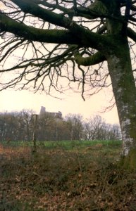 Château de l'Herm en 1985, vue de loin