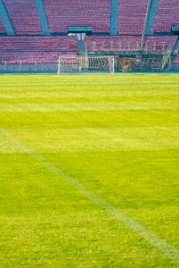 Lawn sports football stadium