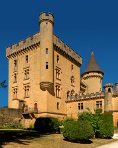 Château de Puymartin 1