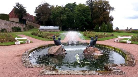 Château de Drée - Roseraie - fontaine et serre