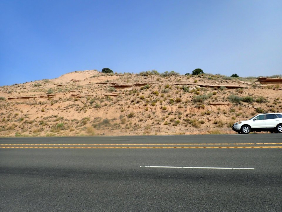Cerro Conejo Formation in road cut
