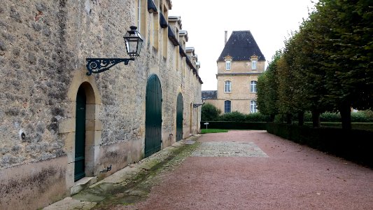 Château de Drée - Allée