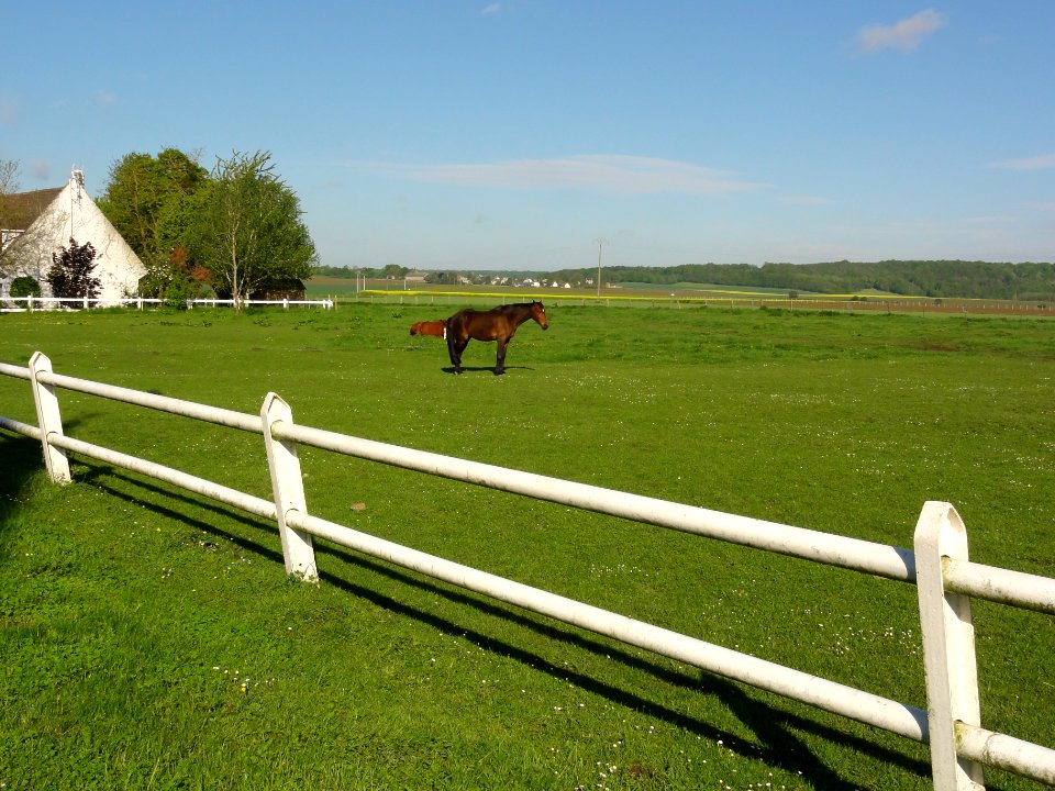 Cerny-lès-Bucy (Aisne) paysage