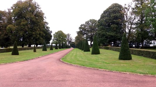 Château de Drée - Allée principale