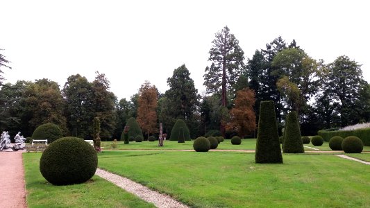 Château de Drée - Jardin des topiaires 3
