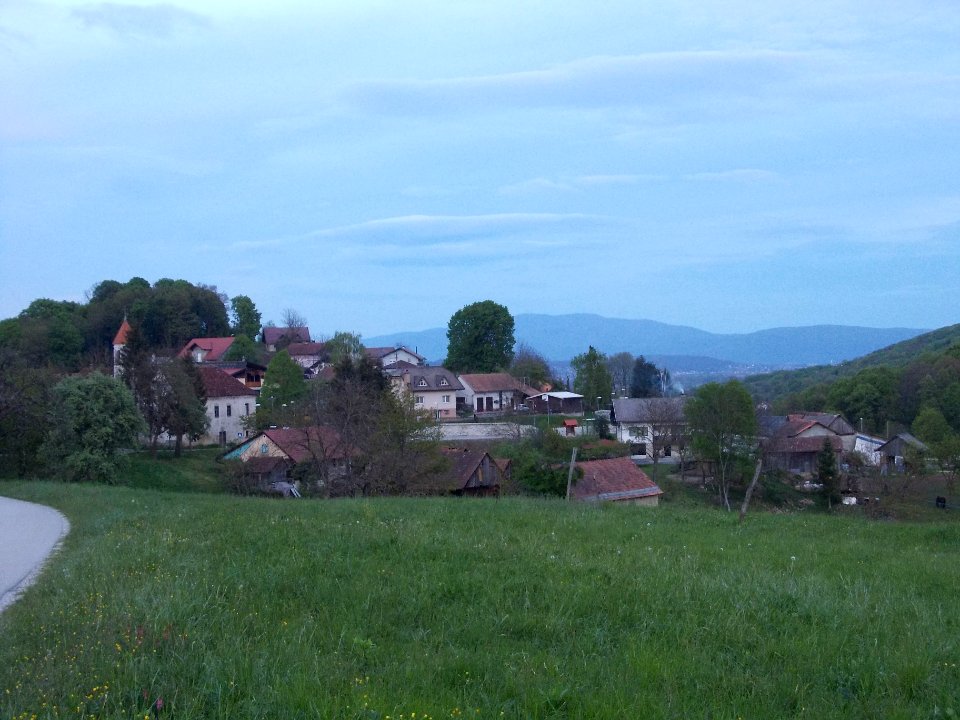 Cerina 02
