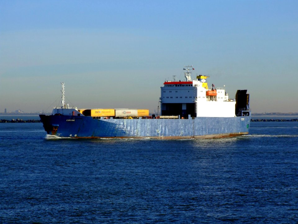Cervine IMO 8009076, Port of Rotterdam, Holland, 06JAN2009 pic1