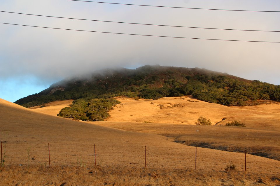Cerro San Luis Obispo, July 2015