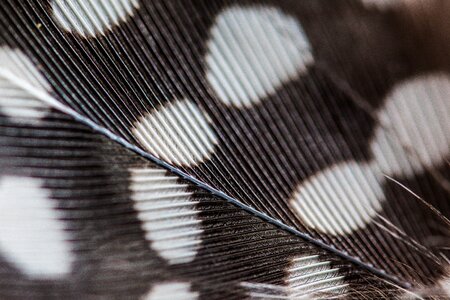 Macro background texture