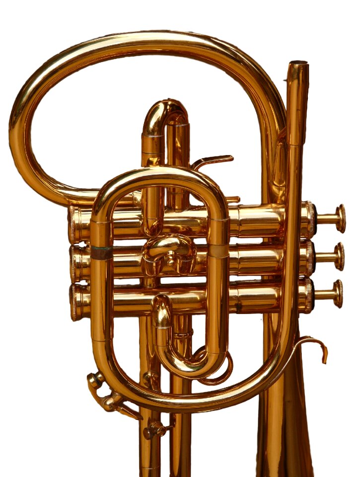 Instrument acoustic jazz