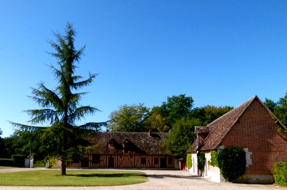 Château du Moulin - Dépendances - Loir et Cher 5