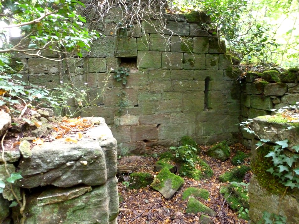 Château du Herrenstein 7