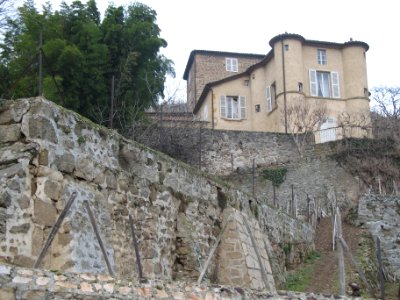 Château-Grillet 3