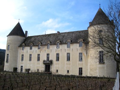 Château Savigny-lès-Beaune 3