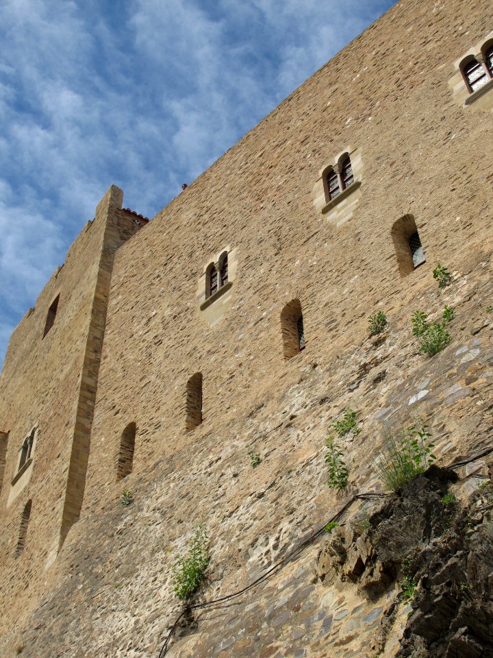 Château royal de Collioure - 2016 01