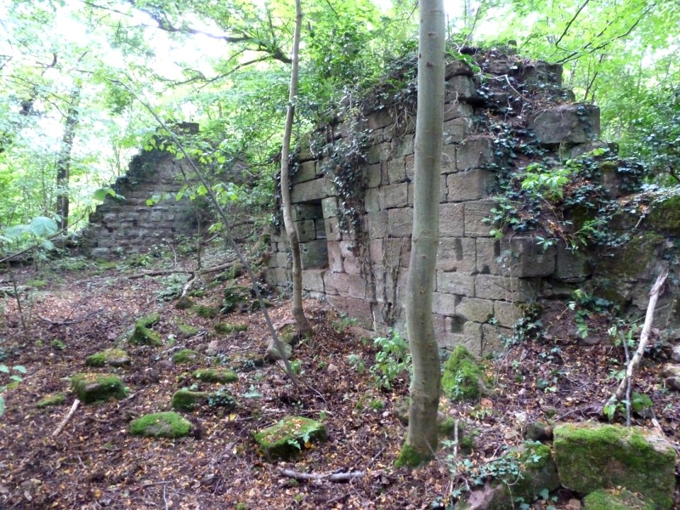 Château du Herrenstein 2