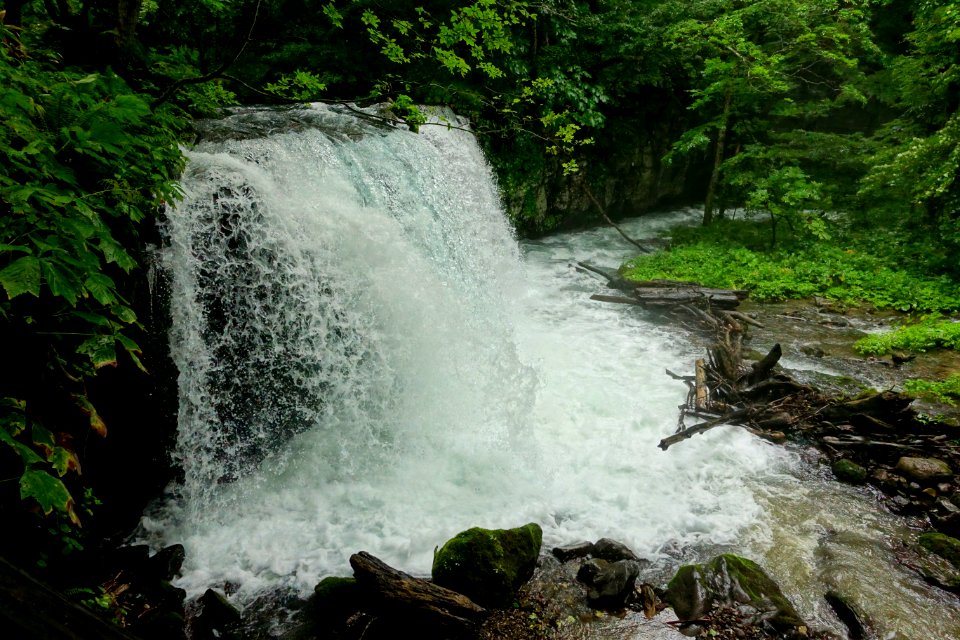 Chōshi Falls - Oirase Mountain Stream - Towada, Aomori - DSC01102