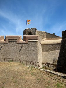 Château royal de Collioure - 2016 04