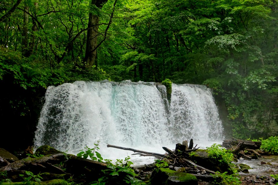 Chōshi Falls - Oirase Mountain Stream - Towada, Aomori - DSC01112