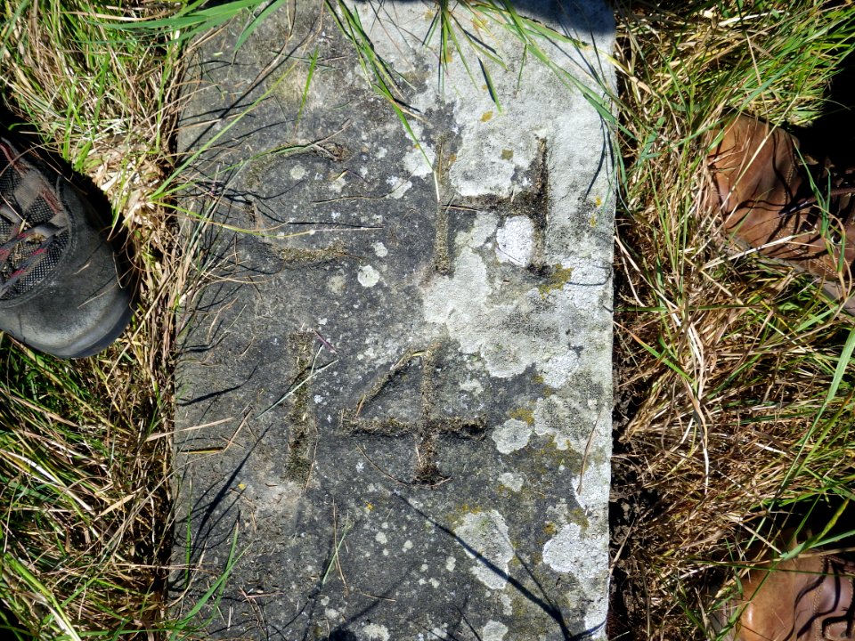 CH14 Boundary Stone, Hooe Level