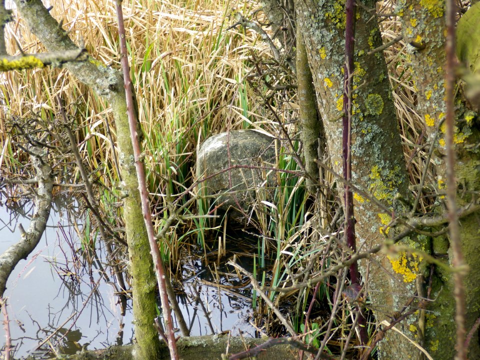 CH Boundary Stone, Hooe Level