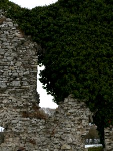 Château Du Stock (194111469)