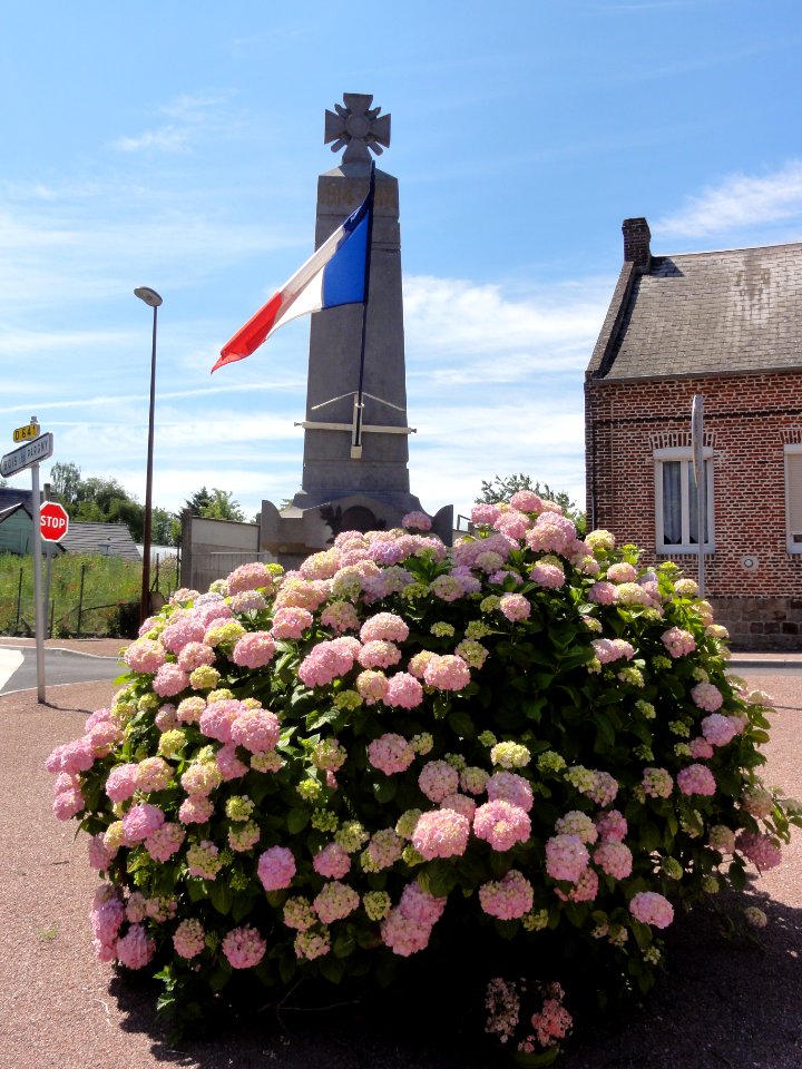 Châtillon-lès-Sons (Aisne) monument aux morts