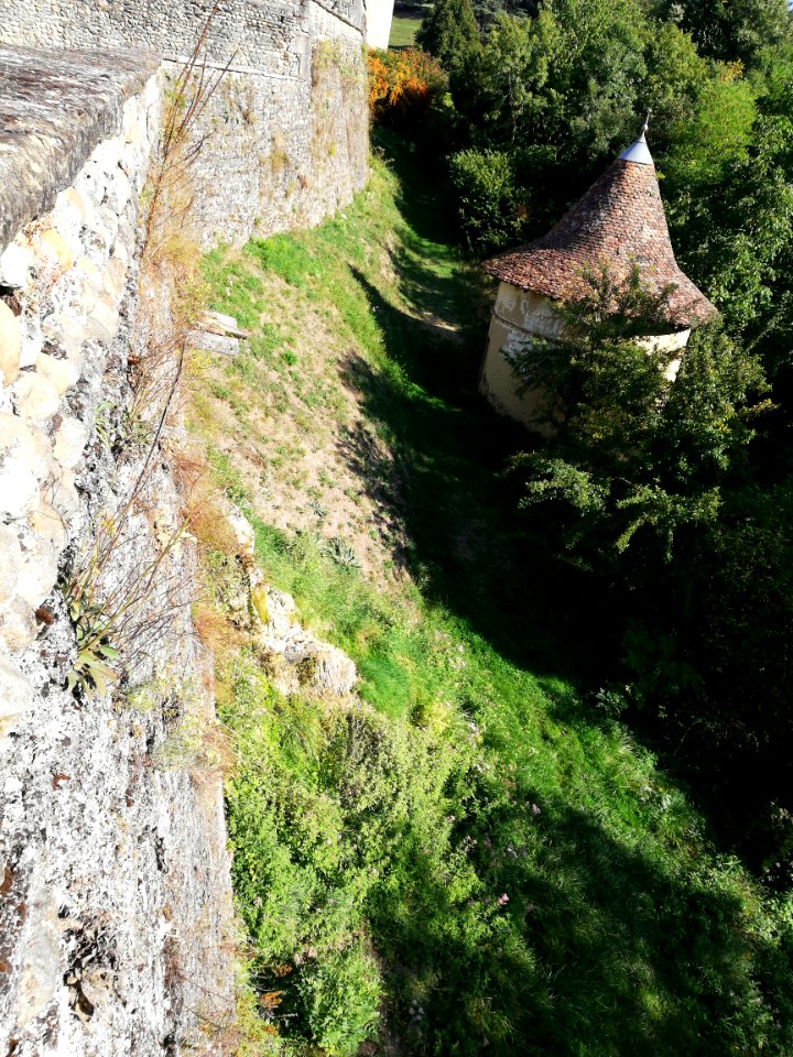 Château Virieu (pigeonnier et source)