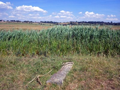 CH22 Boundary Stone, Hooe Level (2)
